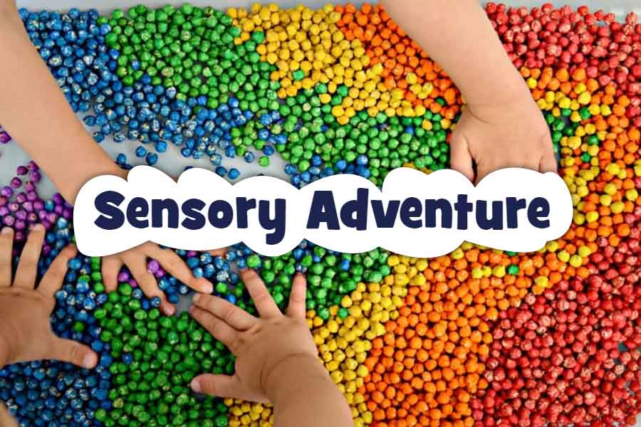sensory adventure group therapy