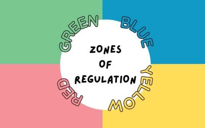 What Are the Zones of Regulation Used For?